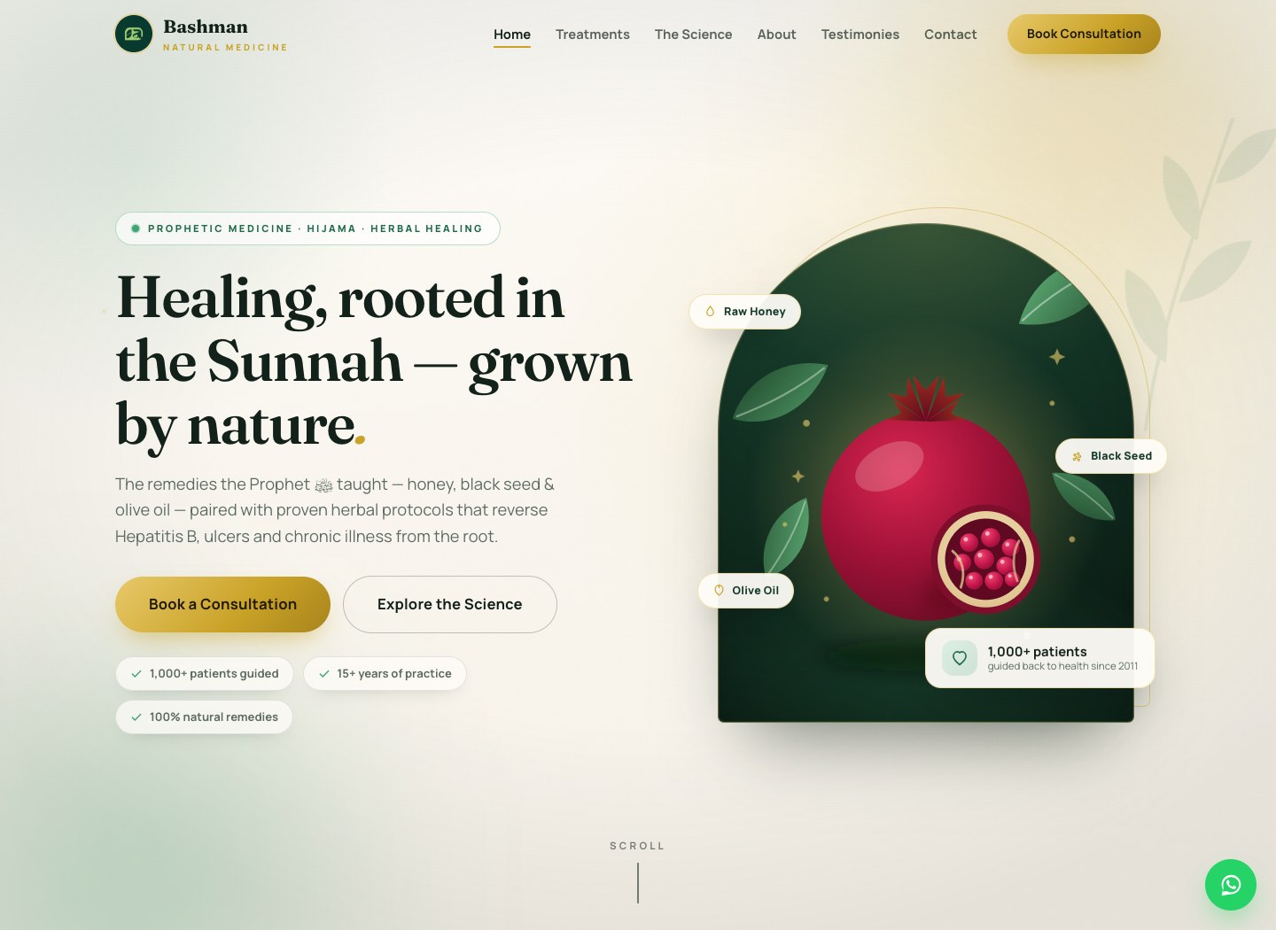 Bashman Natural Medicine website homepage