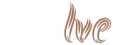 Evolve Digital Transformation Agency
